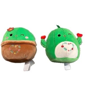 5” Shadi & Marcellus the Cactus Valentine Squishmallow Set NWOT